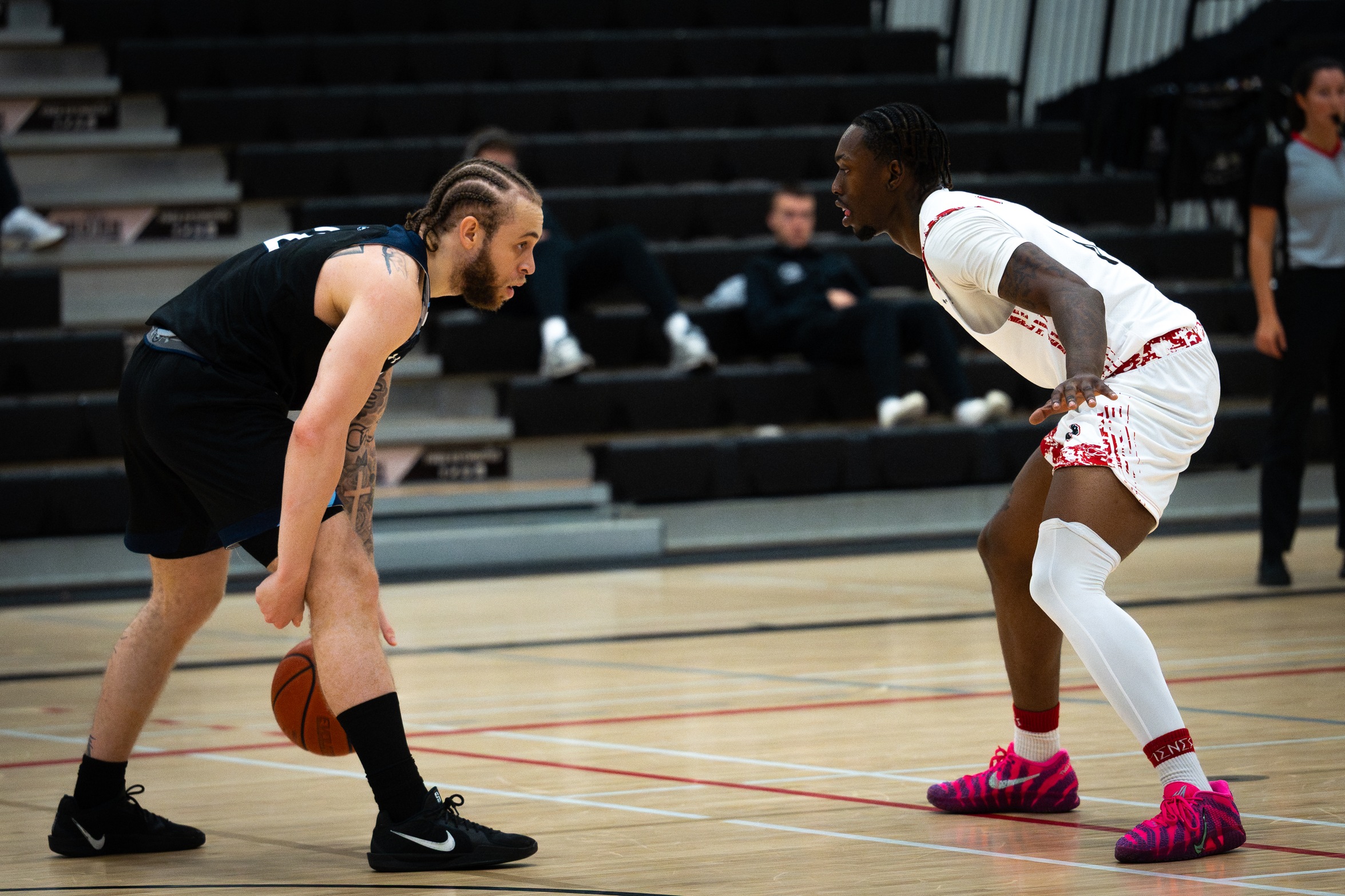 Panthers Show Fight in Back-to-Back Home Games