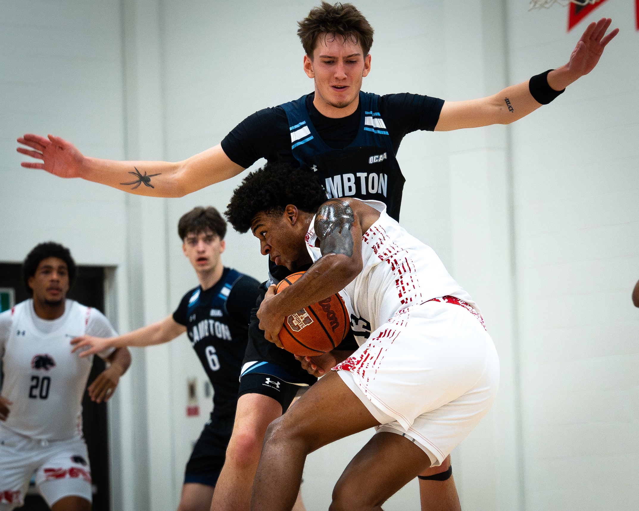 Panthers Push Late in Back-to-Back