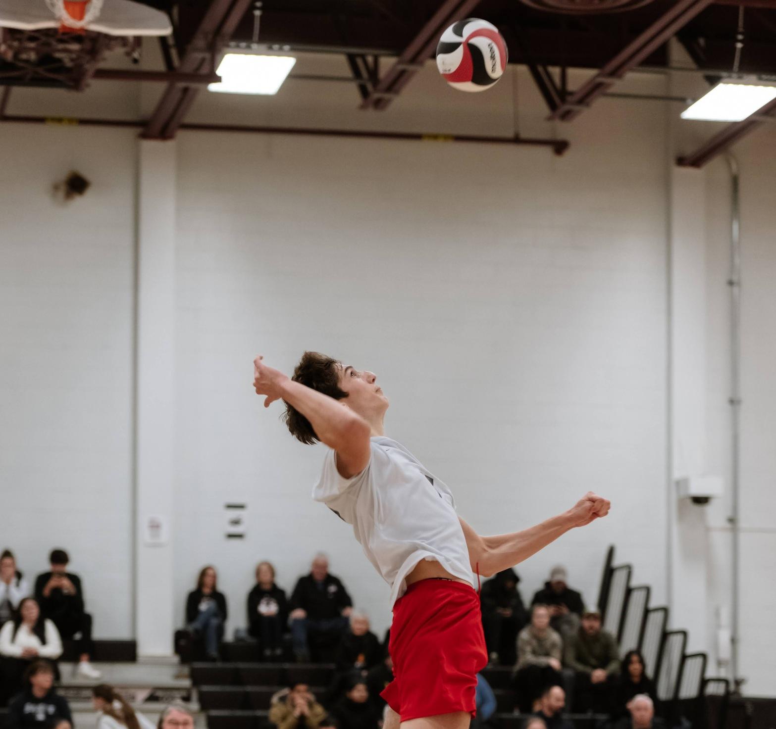 Panthers Battle Hard in Four-Set Loss to Georgian
