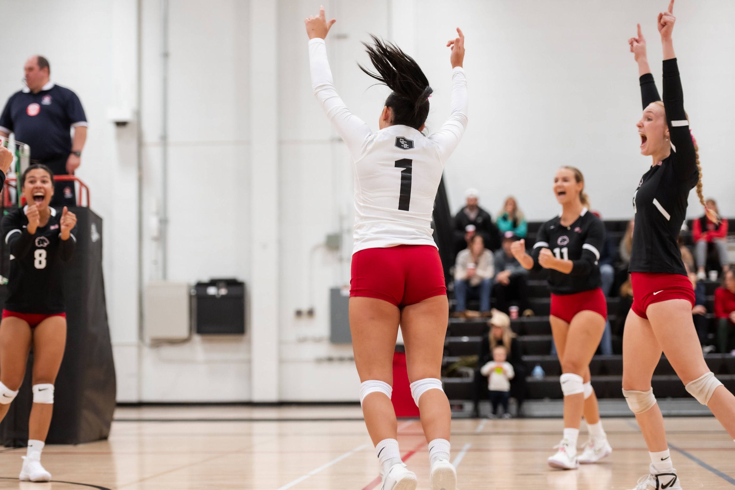 Women's Volleyball