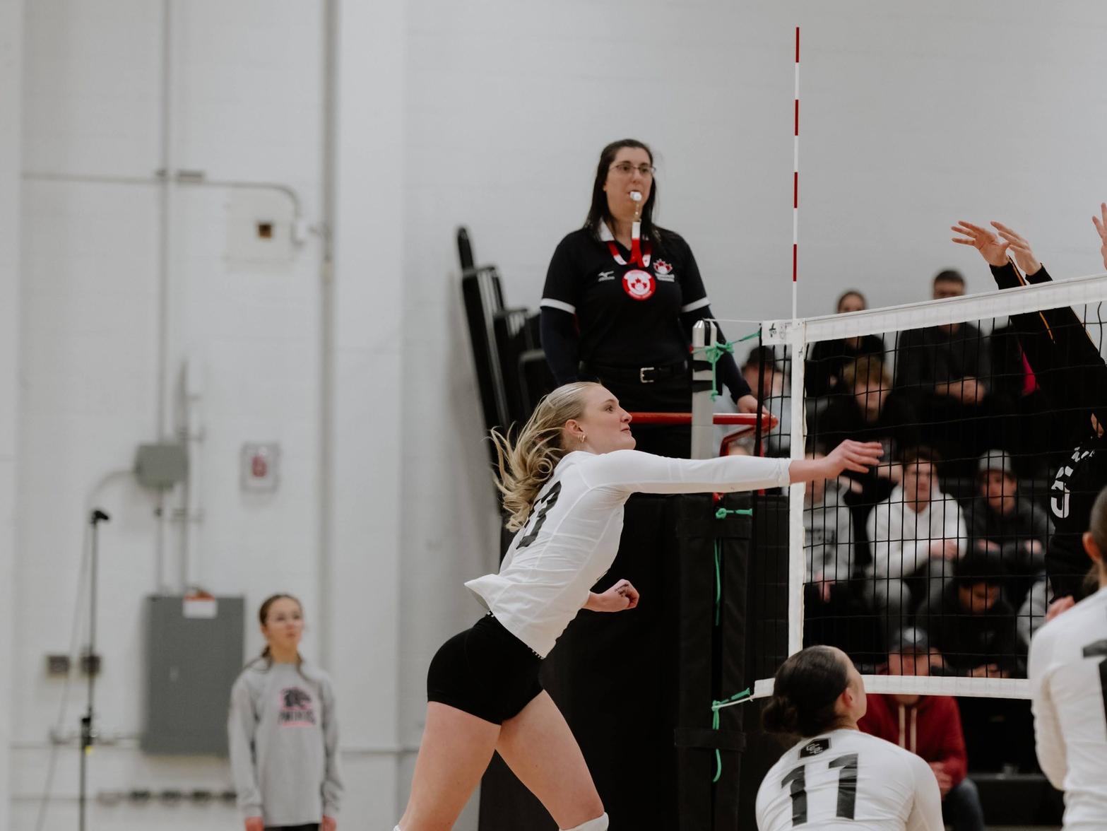 Panthers Roll at Home